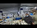 Reality of Life in Iran!! Incredible Walking Tour in Fish Market in Bandar Abbas, Iran