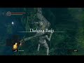 How Fun is the Fanciest Straight Sword in Dark Souls?