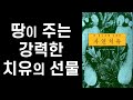 땅이 주는 치유의 선물 - 맨발로 땅을 디디면 누구나 건강해진다 ㅣ  땅 에너지를 이용한 자연치유 ㅣ 워렌 그로스맨 ㅣ 샨티 ㅣTo be Healed by The Earth