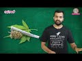 Ganja उर्फ Marijuana Legal होने से किस बात का डर है? | Sciencekaari