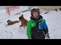 Goldendoodle Puppy 9 months old | Playing in the Snow