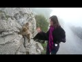 Being bitten by a monkey at Gibraltar