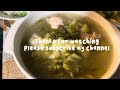 Daily Life Routine As SAHM | cooking pickled cabbages chicken soup - cambodian dishes