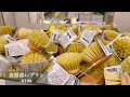 【IKEA】🇸🇪2024春｜店内インテリアをチェックしながらshopping｜凄い参考になる!!話題の新商品多数｜tesammansコラボ商品