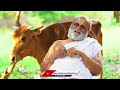 Chilkur Balaji Temple Priest Rangarajan Exclusive Interview with Teenmaar Chandravva | V6 News