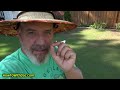 August Lawn Care - What to Feed Your Lawn