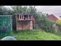 First young bird training session; racing pigeons uk
