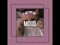 YoungShit - Mood