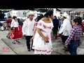 Don Celso baila el Fandanguito con el Trio Gallitos Huastecos | Huapangos