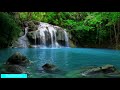 Waterfall & Jungle Sounds, Relaxing, Meditation Background