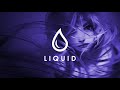 LIQUID: A light EDM, Electro and Liquid Dubstep Mix