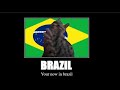 BRAZIL CAT