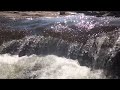 Cachoeira zona da mata de Muriaé MG!
