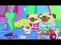 Snow School Chip | Chip and Potato | Cartoons for Kids | WildBrain Zoo