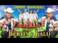 Dueto Bertin Y Lalo, Los Armadillos De La Sierra — Exitos Guitarras Del Rancho— Corridos y Rancheras