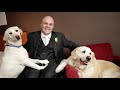 What happens when an Assistance Dog retires?