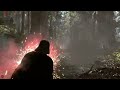 RTX 4090 vs 8K Battlefront (2015)