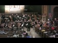 Beethoven Symphony No. 5 part 1/3