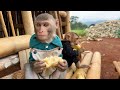 Obi and monkey Bim Bim go to harvest ripe bananas on the farm