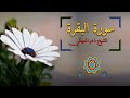 الشيخ ماهر المعيقلي سورة البقرة النسخة الأصلية   Surat Albaqra Official Audio