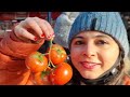 Great Organic Vegetables and POLISH FOOD market in Poland| Cost Of Groceries in Local farmers Market