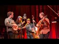 Mighty Poplar - Bonny George Campbell - Live at Ardmore Music Hall - 4K