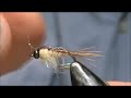 Fly Tying for Beginners Generic Mayfly Nymph with Jim Misiura