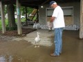 Pelican Breakfast