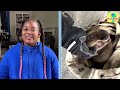 60 Minutes Of Animals Who Needed A BIG Rescue! | 1 Hour Of Animal Videos | Dodo Kids
