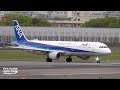 THE BEST CLOSE UP Plane Spotting Action | OSAKA ITAMI Airport Plane Spotting