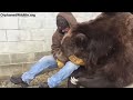 When your bear had a hard day and needs some extra love....