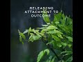 releasing attachment to outcome (energetic depolarization ⚡️🧲)