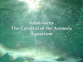 The Carnival of the Animals - Aquarium