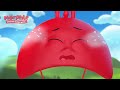 Morphle and The Rainbow Chasers 🌈| Stories for Kids | Morphle Kids Cartoons
