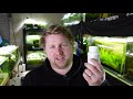 How I Quarantine and Medicate New Fish - My Routine for New Fish