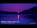 RECRAH & LuFlexo - Friday Night (feat. Mary Ayly) [WEARY Remix] | Progressive House