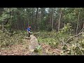 Offgrid camp cleanup from 2nd tree blocking the mountain view. Bushcraft survival skills!