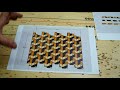 Making 3D end grain cutting board #16