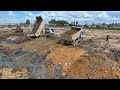 Amazing Project: Expert Operator of a Bulldozer D60P Pushing Soil Into a Pond With Many Dump Truck