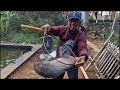 Rp 4 juta..!! Mancing borongan gurame babon,ikan mas & nila