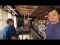 GINETE-ANDOY ANCESTRAL HOUSE 1905 PART 8