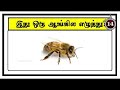 Guess the ALPHABET quiz 3 | Brain games in tamil | Tamil Puzzles | Tamil quiz | Timepass Colony