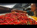 Mom's harvesting organic vegetables at countryside, Nagaland village life