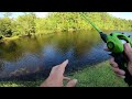 Fishing with Livebait for Pond MONSTERS!