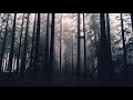 Eerie Twilight | Future Garage Mix