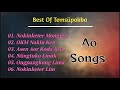 Ao Songs ~ Best Of Temsüpokba