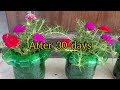 Awesome Idea | How to make a beautiful flowerpot by recycling plastic bottle