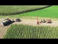 Harvesting Corn Silage on Amish Farm In Lancaster County, PA with 12 Horses