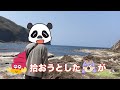 【島根旅】#西ノ島外浜海水浴場編　美保関•隠岐諸島西ノ島珍道中　最終回　４人が織りなす愉快な旅に遂に事件が起きる【秘境旅】