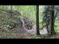 ASMR Relaxing Forest Rain with Waterfall